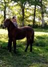 Pouliche PFS souches EUROPEENNES 