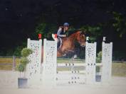 Jolie jument 6 ans 1.54m