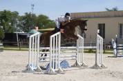 Cheval CCE/CSO/loisir 