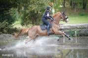 Cheval CCE/CSO/loisir 