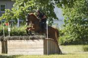 Cheval CCE/CSO/loisir 