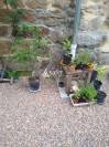 Corps de ferme et vastes d&eacute;pendances sur 1.5 ha AUZELLES