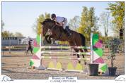 Khamma des Baies 6 ans Jument avec gros potentiel 