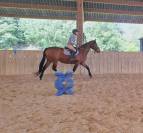 Jument de selle