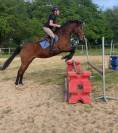 Jument de selle