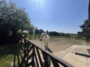Bella dimora equestre In vendita Sarthe