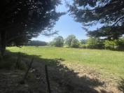 Bella dimora equestre In vendita Sarthe