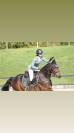 Cheval &agrave; vendre