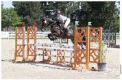 Cheval &agrave; vendre