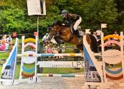 Cheval 