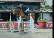 Cheval 