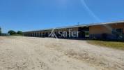 Propiedad ecuestre En venta Gironda