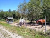 Propiedad ecuestre En venta Gironda