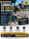 Caballo de Salto 