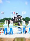 Intero Sella Francese In vendita 2026 Sauro ,  check in
