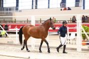 Ponette PFS 3 ans 