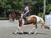 Jument Zangersheide CSO 5ans