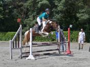 Jument Zangersheide CSO 5ans