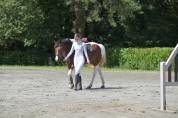 Jument Zangersheide CSO 5ans