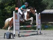 Jument Zangersheide CSO 5ans