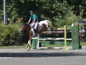 Jument Zangersheide CSO 5ans