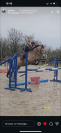 Top ponette PFS 