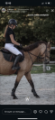 Top ponette PFS 