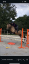 Top ponette PFS 