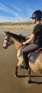 Top ponette PFS 