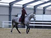 Cheval de dressage amateur 