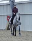 Cheval de dressage amateur 