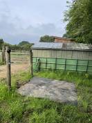 Terrain chevaux 