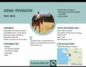 Demi pension 