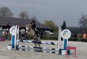 Superbe ponette 1m40