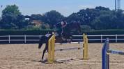 Caballo Joven Gran Potencial