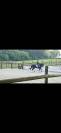 ? Places disponibles - IG Sports Horses ?