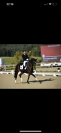 ? Places disponibles - IG Sports Horses ?