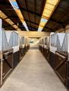 Couloir de boxes disponible - IG Sports Horses 
