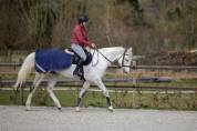 Tr&egrave;s chouette cheval de loisirs