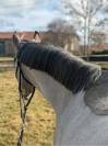 Ponette D 4ans