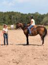  GO NATIVE &ndash; Pur-sang hongre, 7 ans