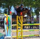 Poney de loisir exp&eacute;riment&eacute;