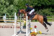 Poney de loisir exp&eacute;riment&eacute;