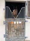 Poney de loisir exp&eacute;riment&eacute;