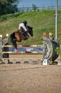 Merrie Franse rijpony PFS Te koop 2017 Donker bruin / bai