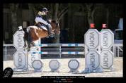 Merrie Franse rijpony PFS Te koop 2017 Donker bruin / bai