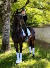 WTF VD GULDENNAGEL Cheval de Dressage