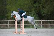PONEY D sport 