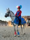 PONEY D sport 