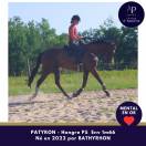 4 ans env 1m66 mental en or